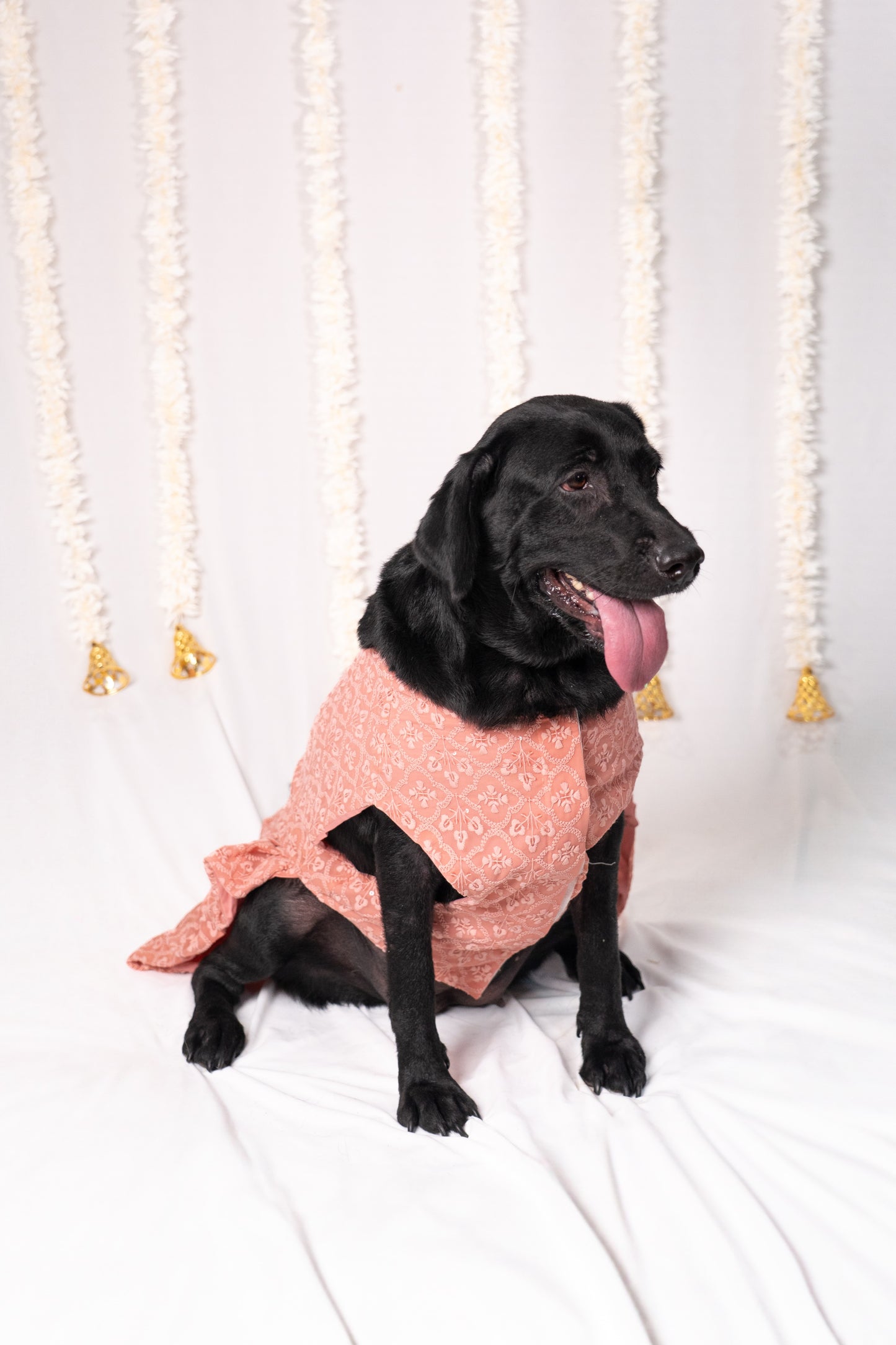 Peach Bloom Pet Dress