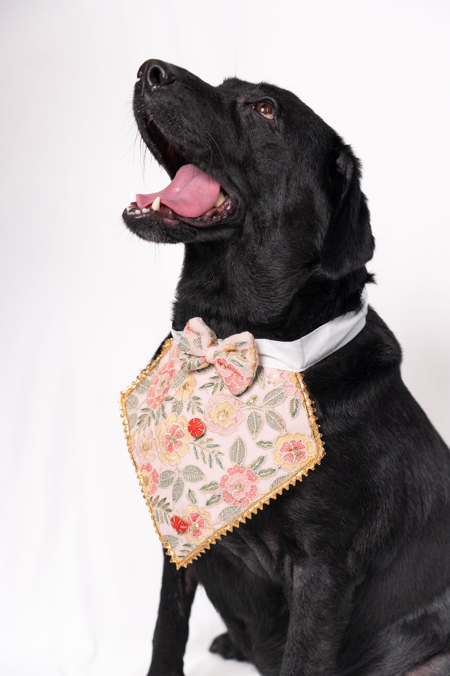 Festive Flair Bandana with hair bow