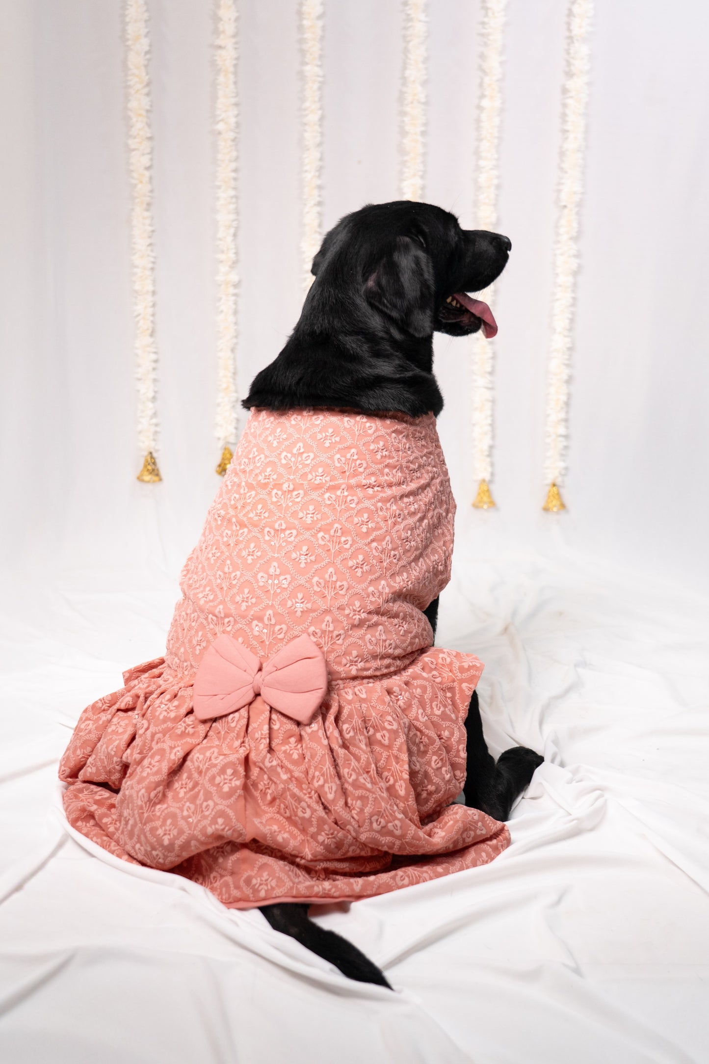 Peach Bloom Pet Dress