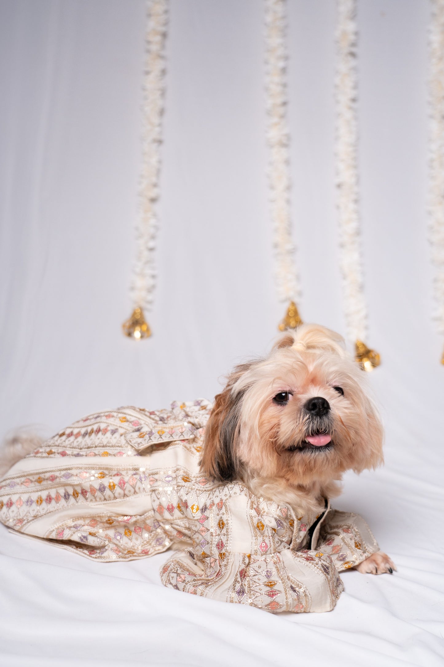 Off-White Royale Pet Dress