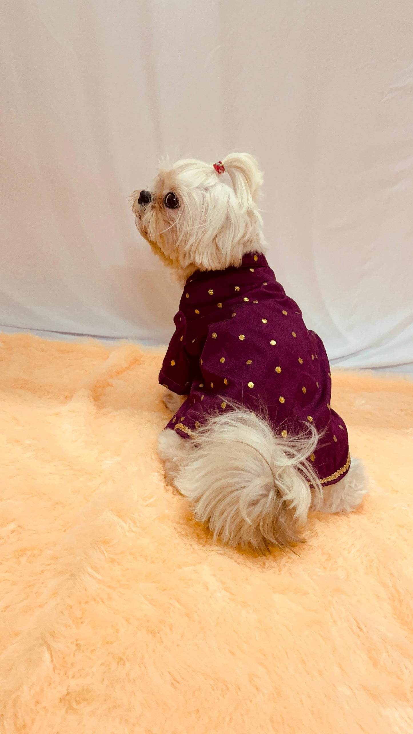 Twinkle Tail Festive Kurta