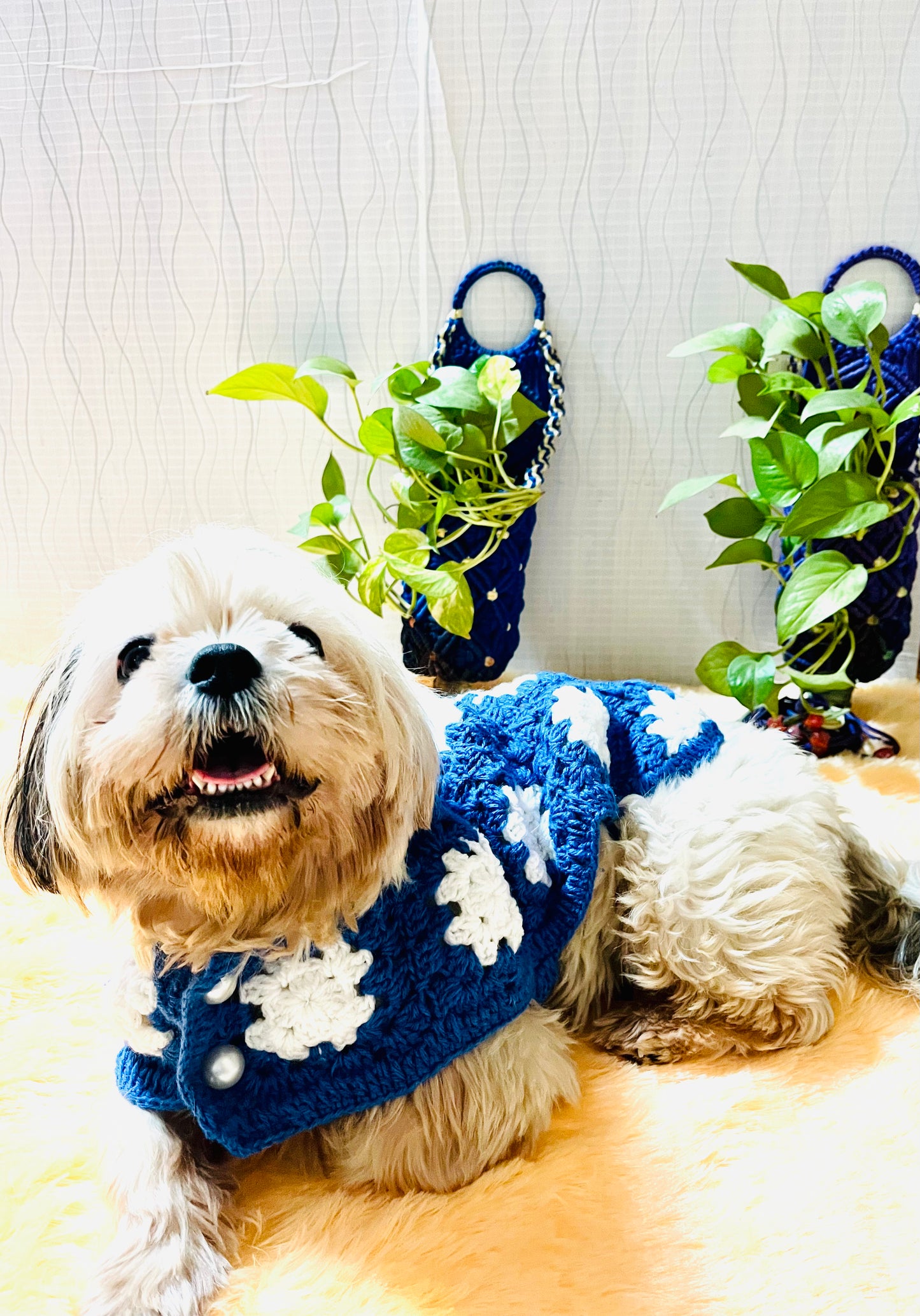 Handmade Knitted Dog Sweater – Cozy & Stylish Pet Outfit