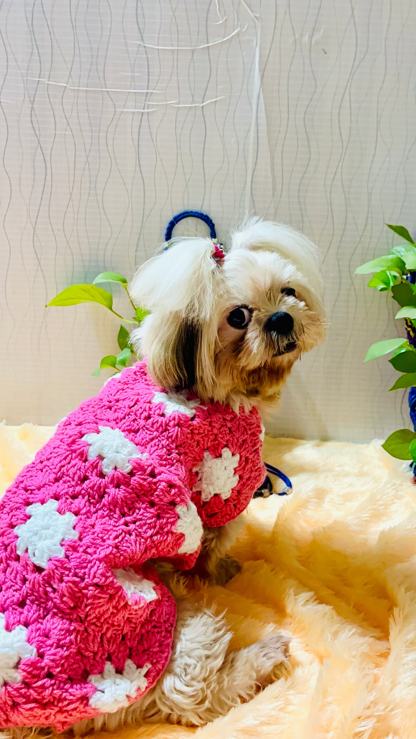 Handmade Knitted Dog Sweater – Cozy & Stylish Pet Outfit