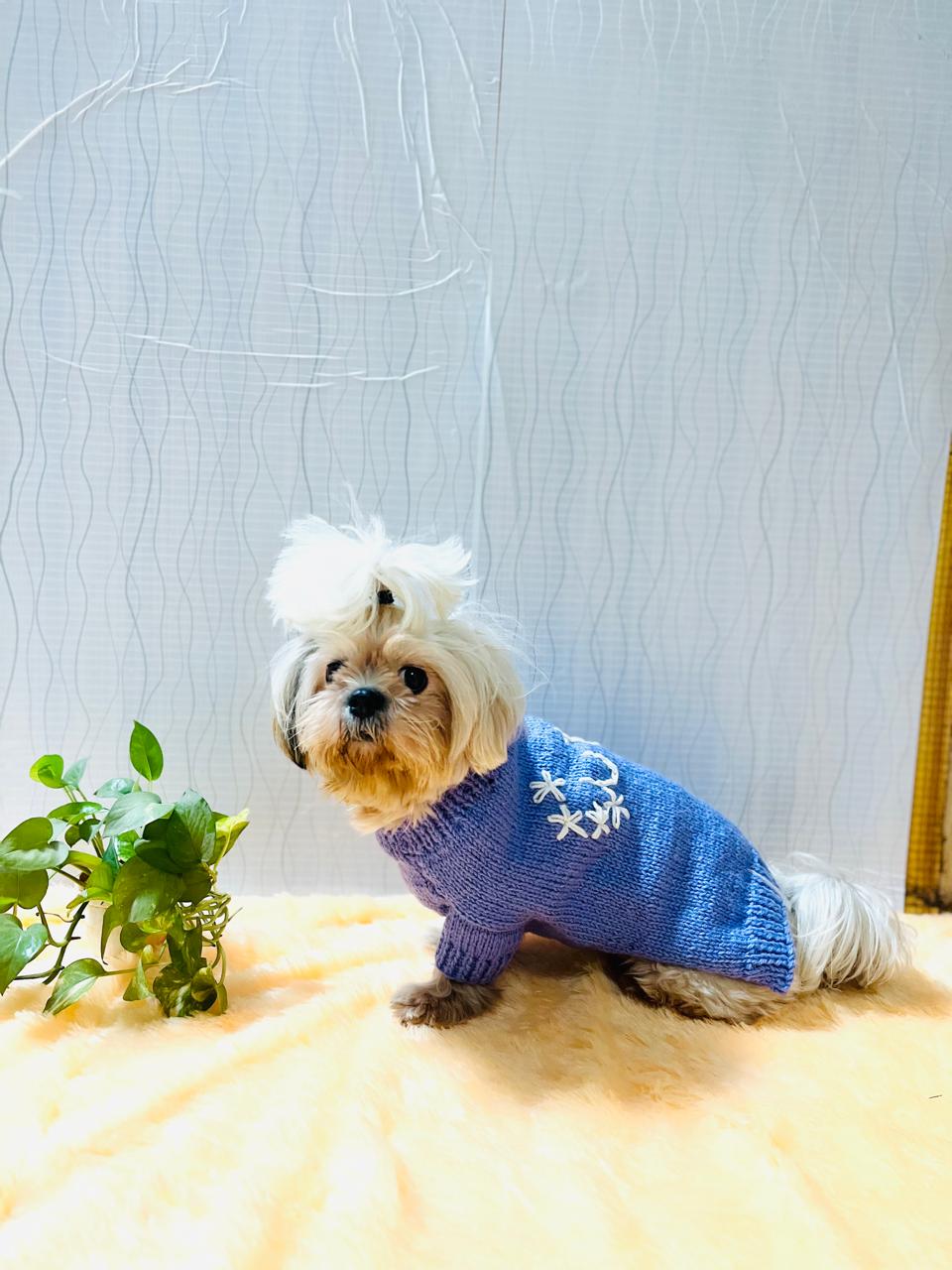 Knitpaw Sweater