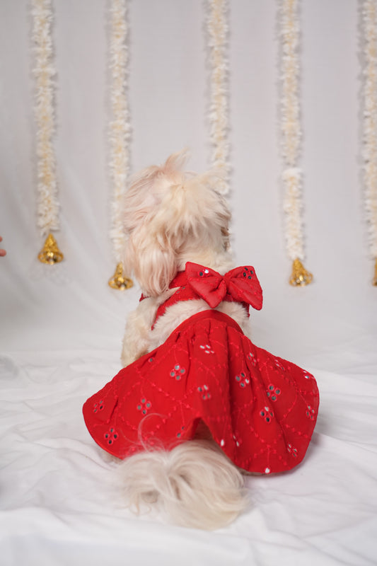 Ruby Sparkle Pet Lehenga