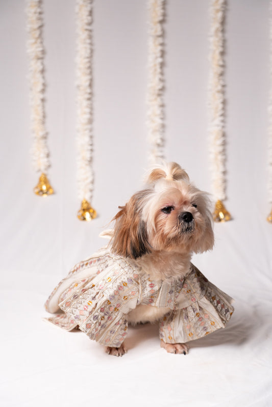 Off-White Royale Pet Dress