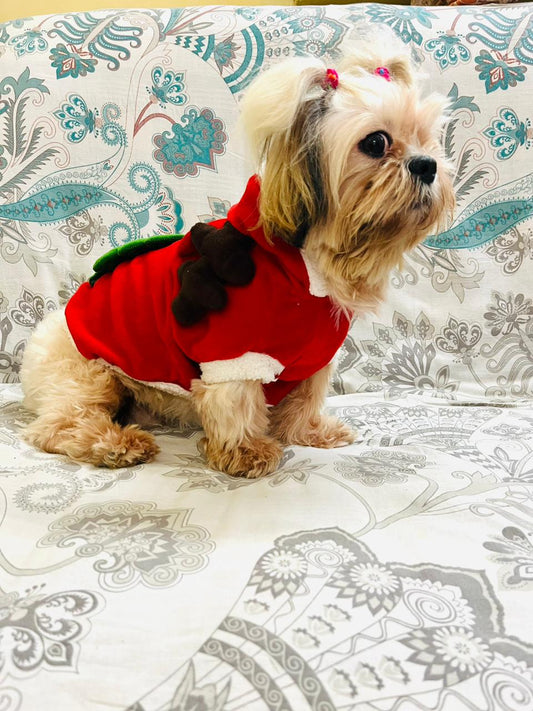 SantaPaw Red Outfit