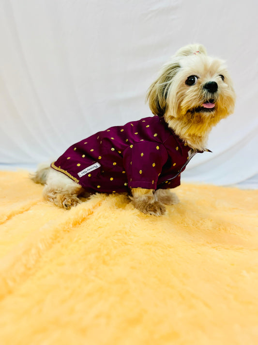 Twinkle Tail Festive Kurta