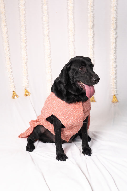 Peach Bloom Pet Dress