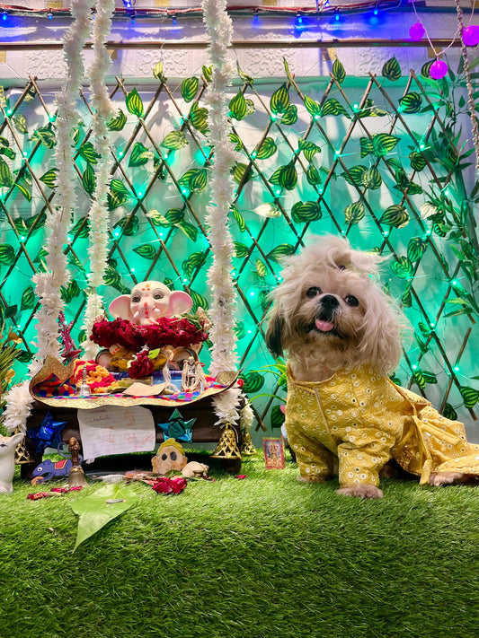 Sunshine Sparkle Pet Dress