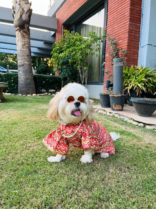 Bell sleeves zig zag orange kurta