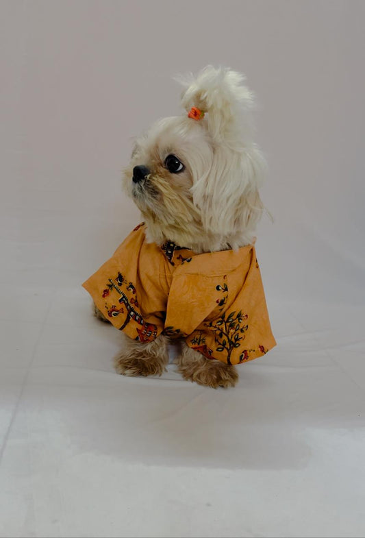 Citrus Comfort Kurta