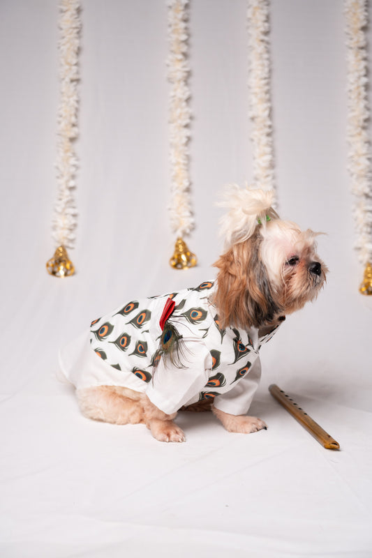 Peacock Parade Pet Kurta Set