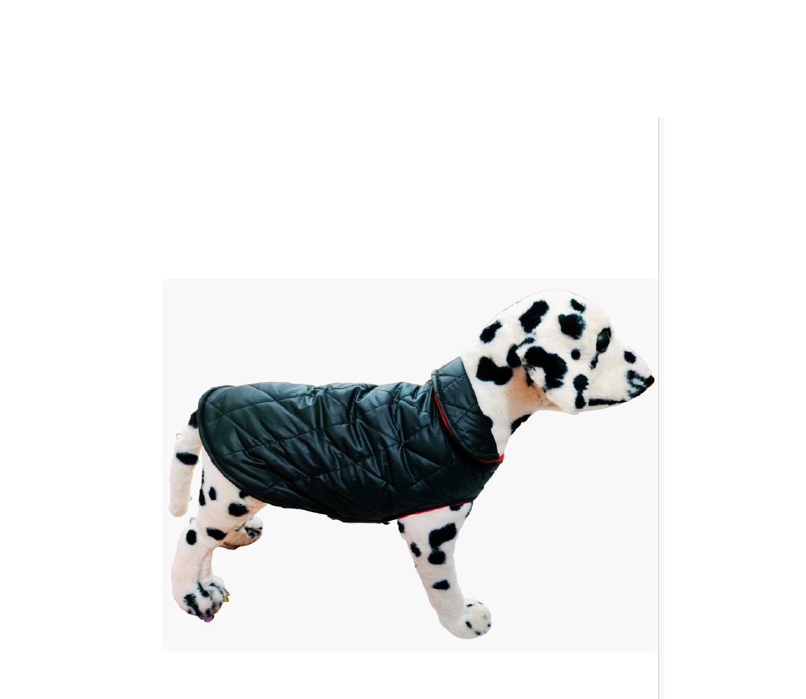 PuffPaw Winter Jacket