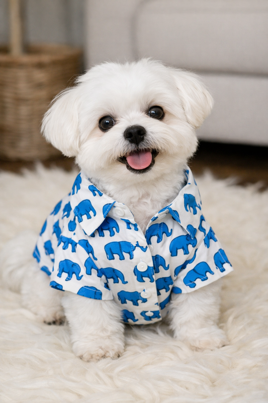 Elephant print Shirt for cats and dogs