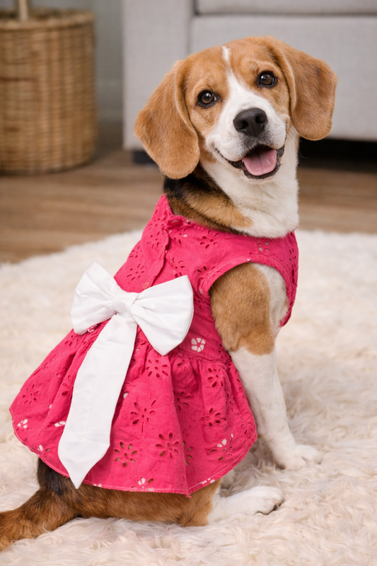 Eyelet Frock