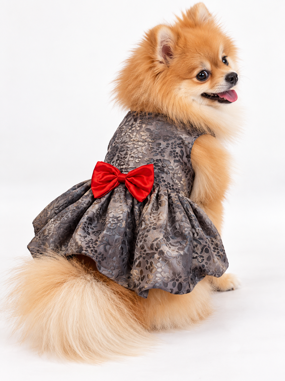 Grey Organza Frock