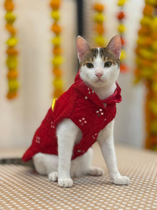 Majestic Red Kurta