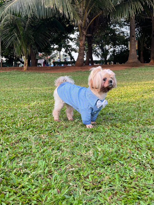 chex pet shirt