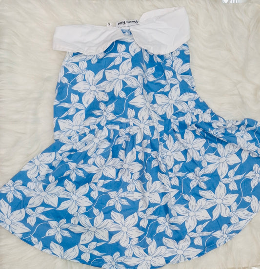 Blue Beauty Frock