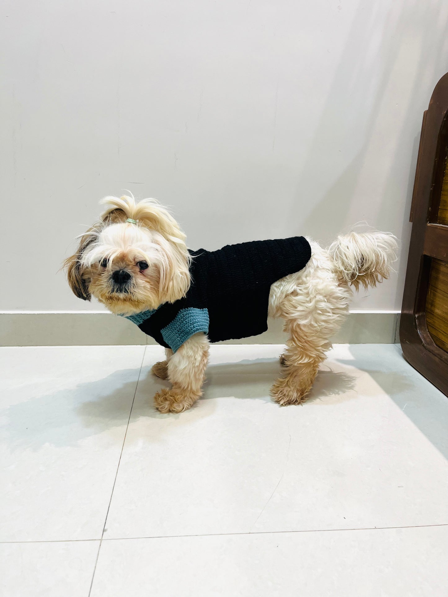 Button square Sweater