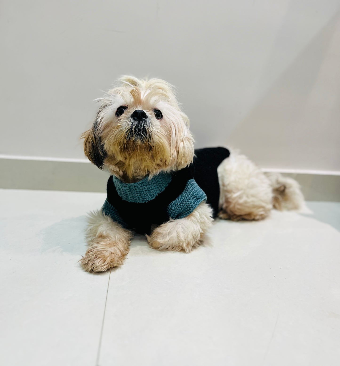 Button square Sweater