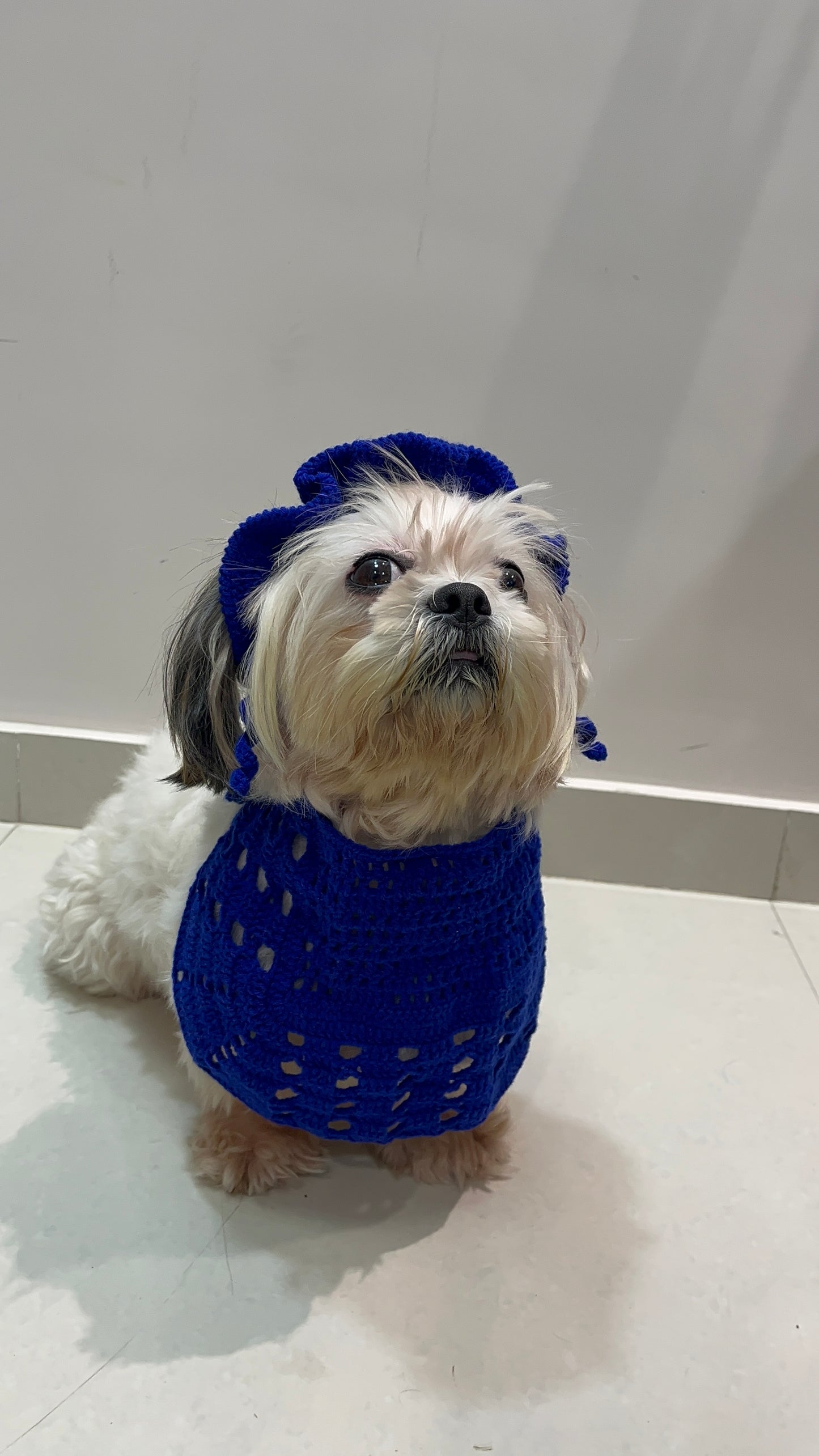 Pawsome Crochet Bandana