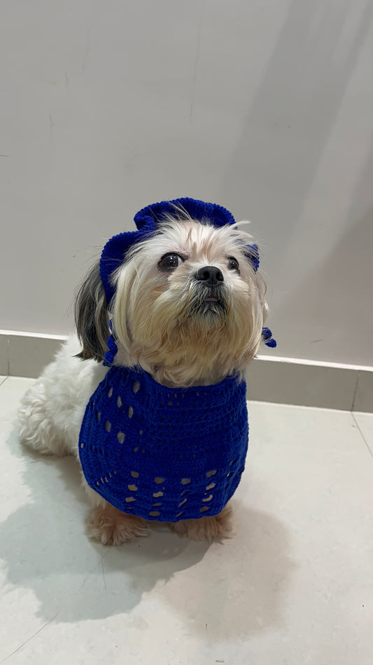Pawsome Crochet Bandana