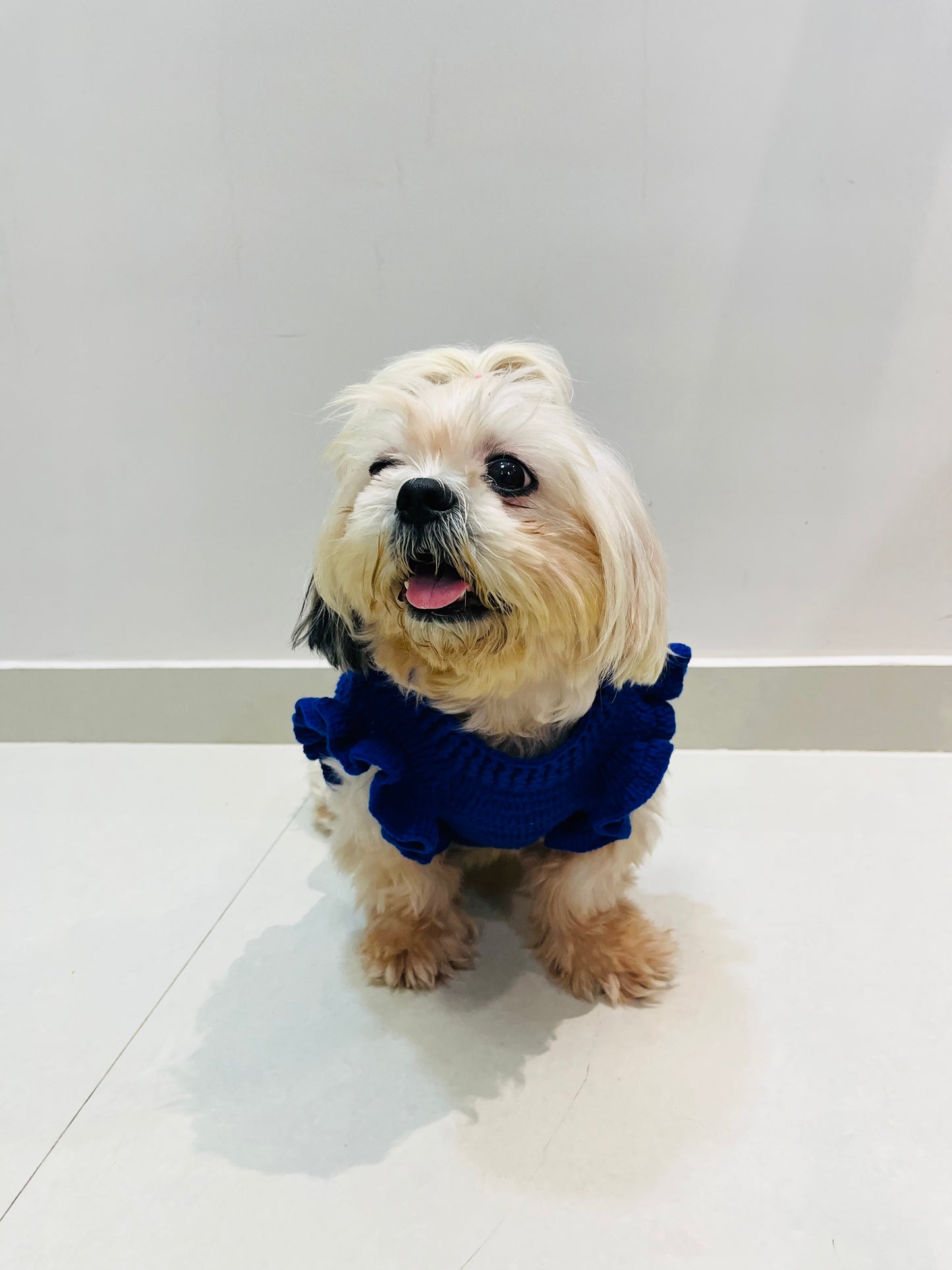 Sleeve Frill Sweater