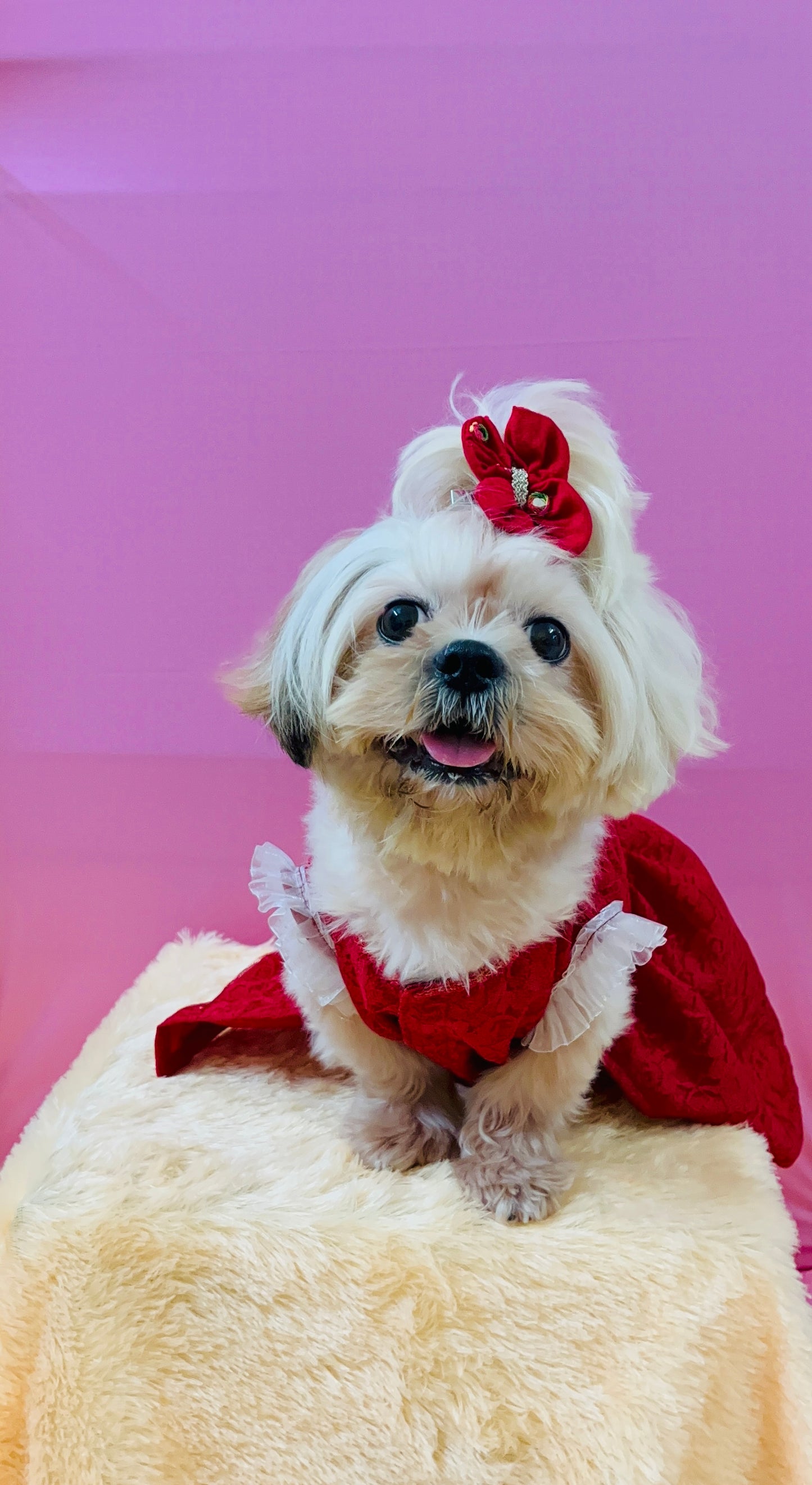 Red frill dress