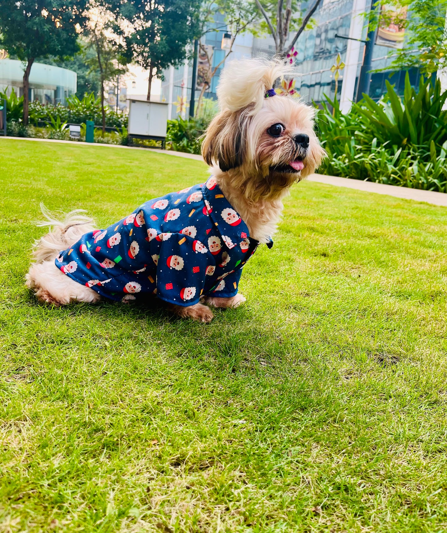 Santapaws Blue Shirt