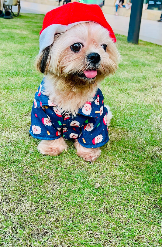 Santapaws Blue Shirt