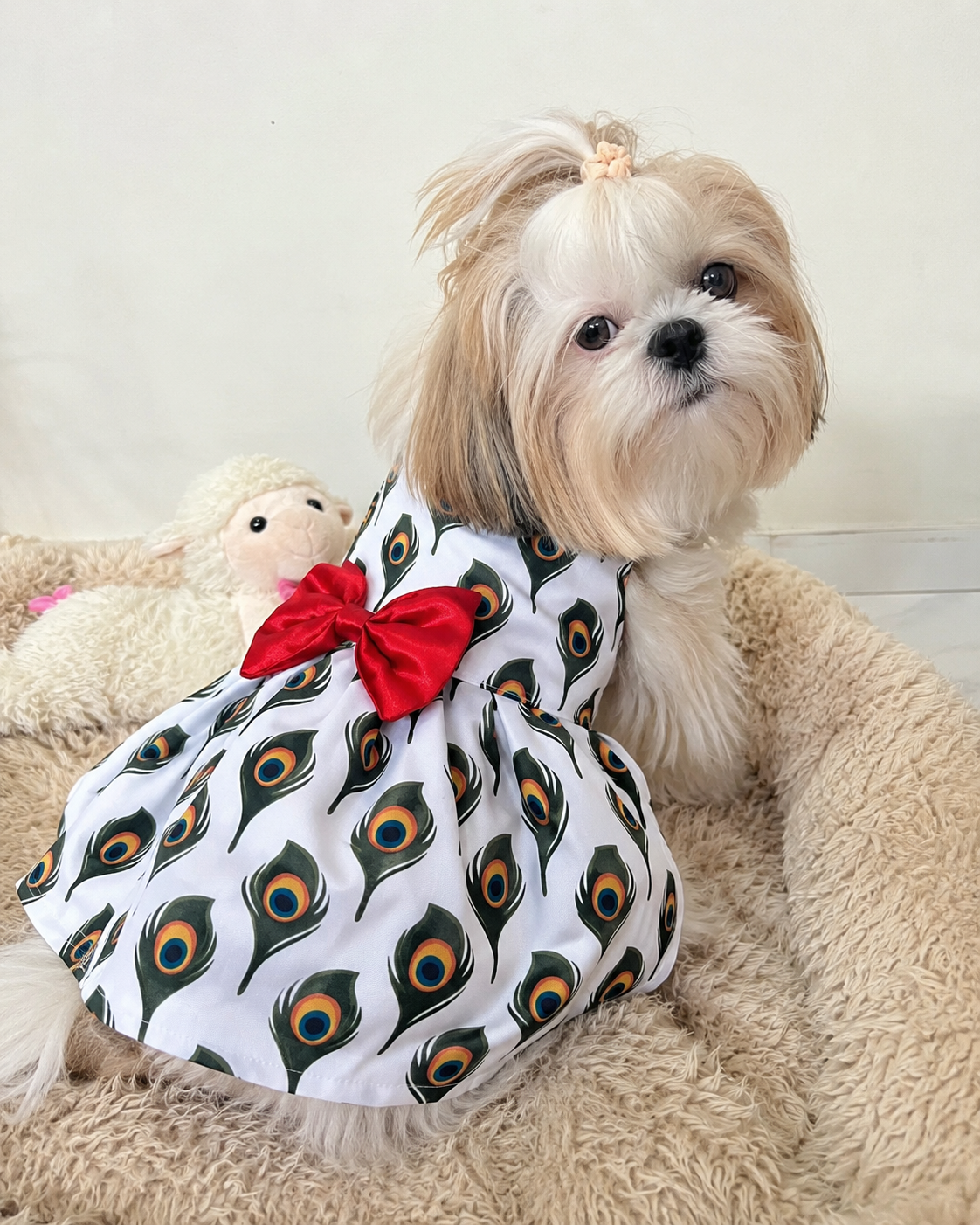 Peacock Grace Pet Dress