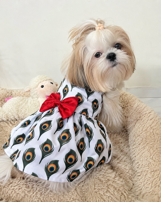 Peacock Grace Pet Dress