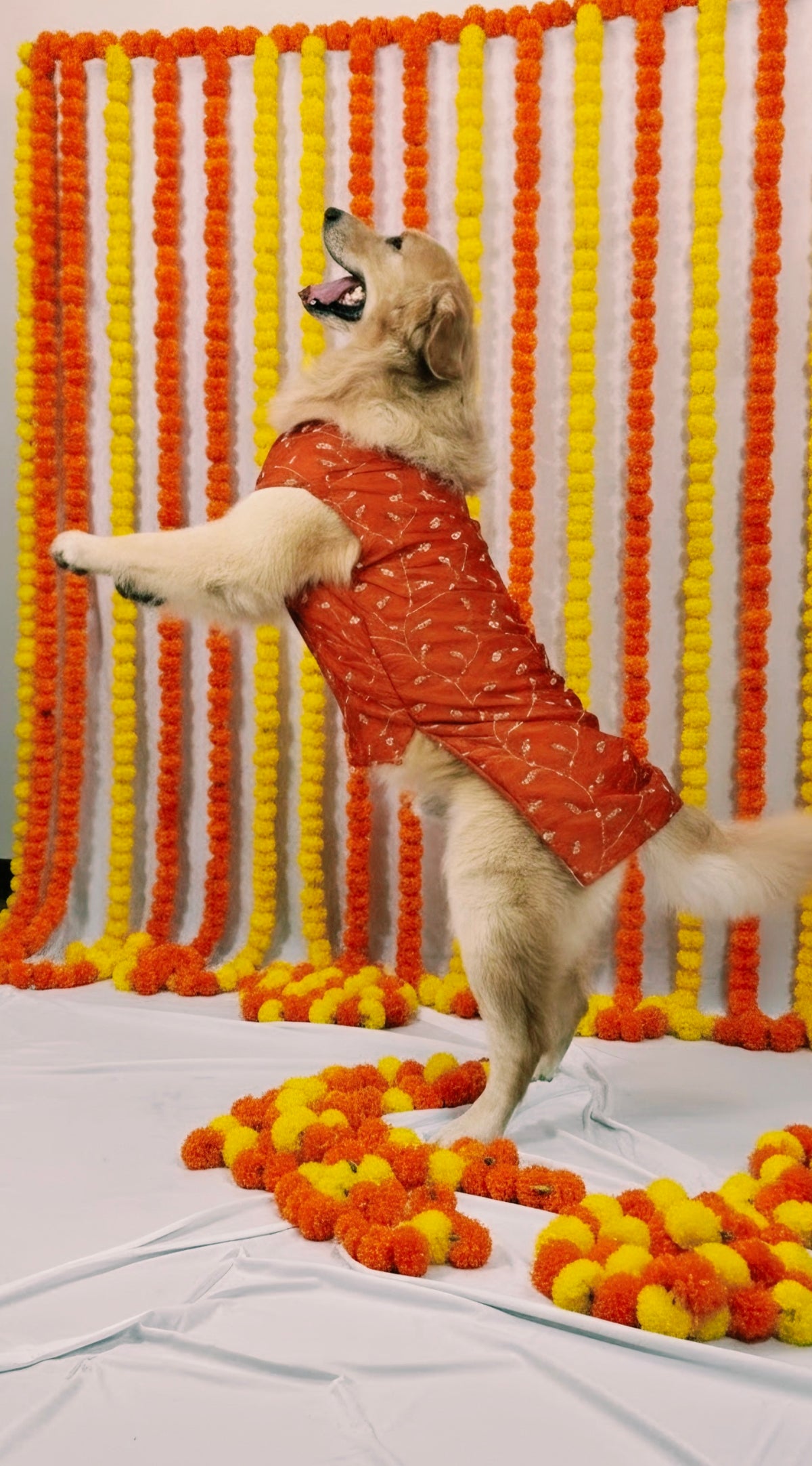 Orange kurta