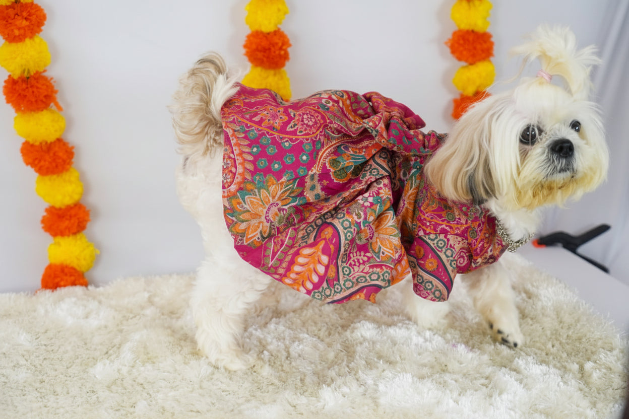 Pink Cotton festive dress