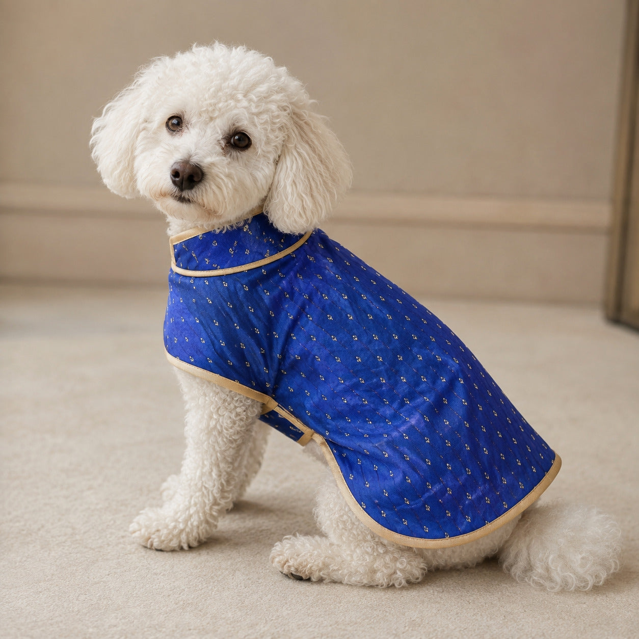 Blue dot kurta