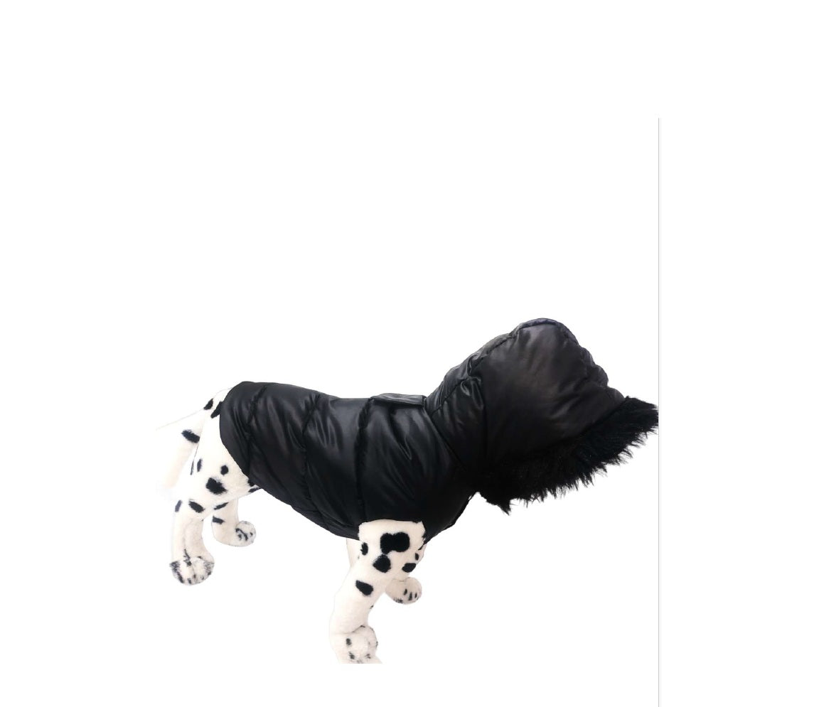 PuffPaw Winter Jacket with cap