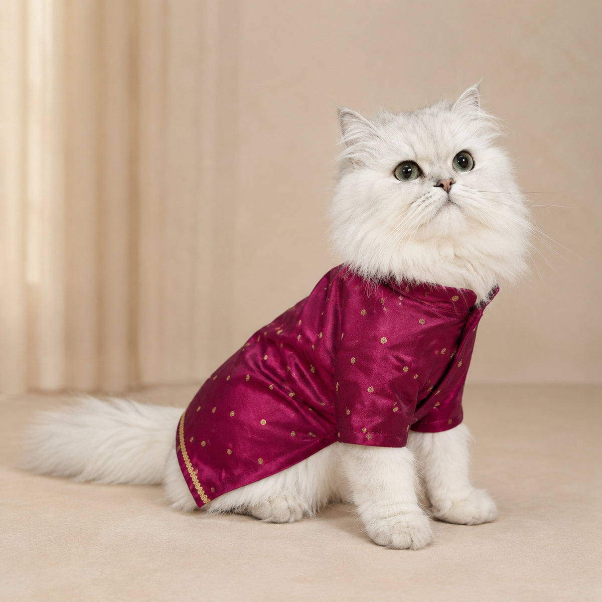 Twinkle Tail Festive Kurta