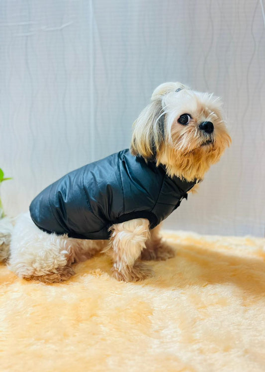 PuffPaw Winter Jacket