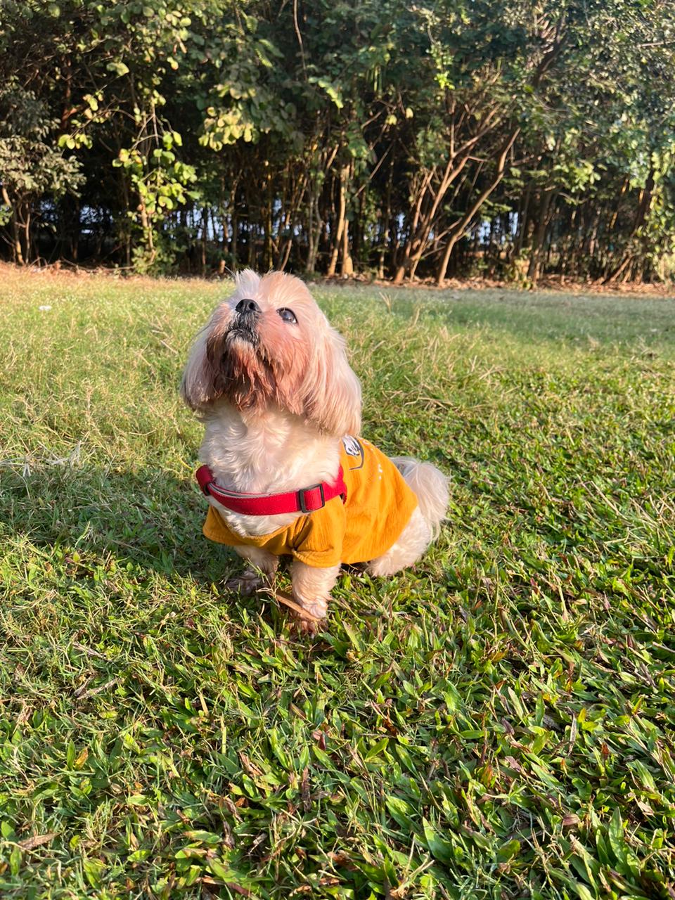 Therapist Vibes Yellow Tee