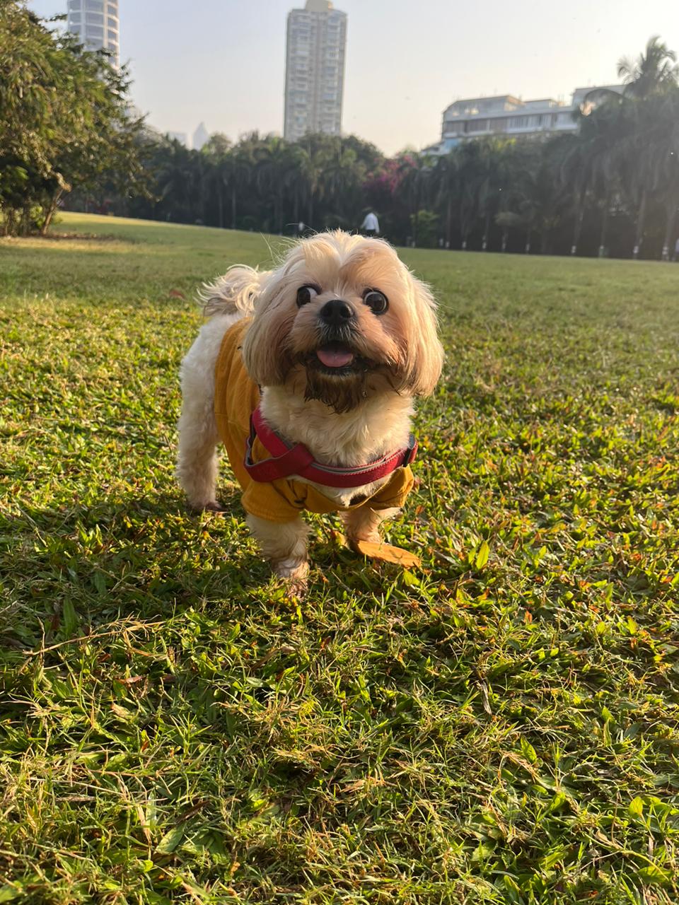 Therapist Vibes Yellow Tee