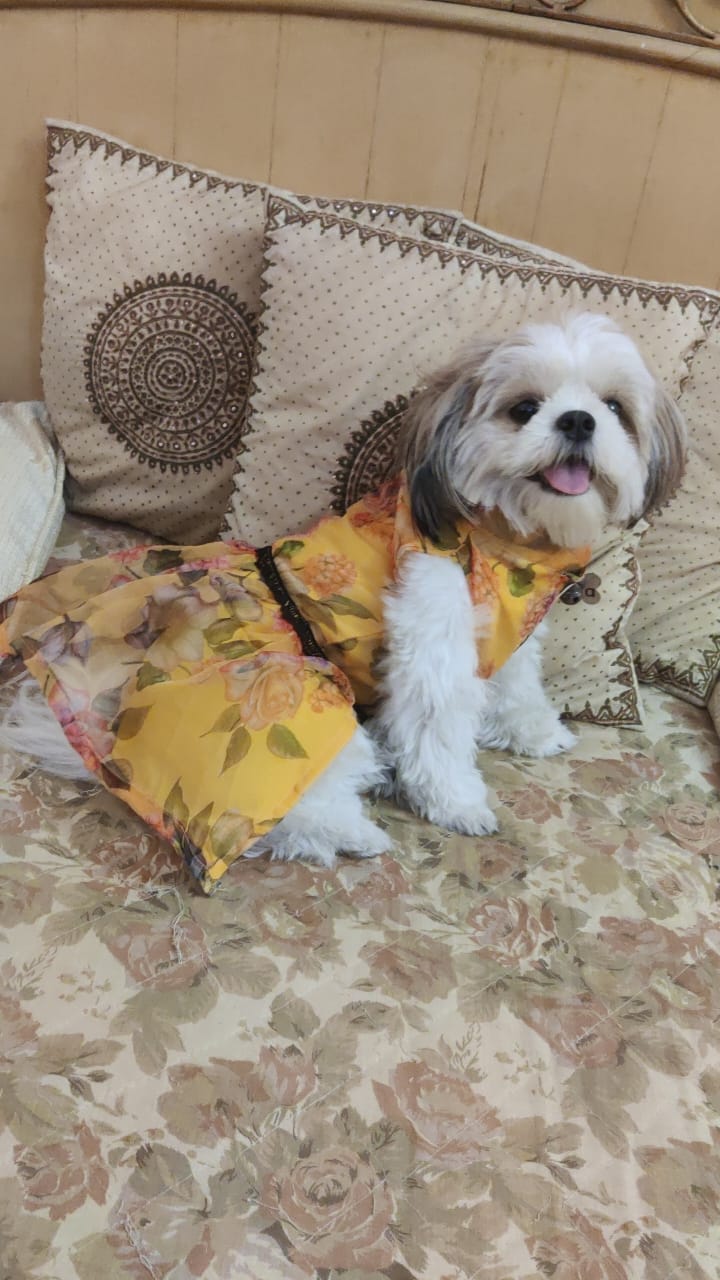 Sunny Twirl Yellow Dress