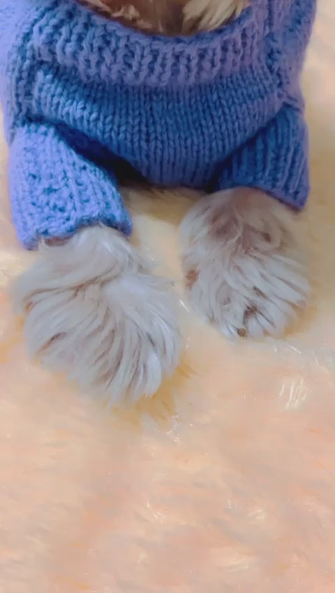 Knitpaw Sweater